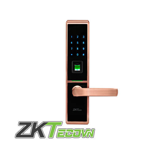 Khóa cửa bằng vân tay thẻ ZKTeco TL100,Khóa cửa vân tay bàn phím giao tiếp USB ZKTeco TL100,Khóa cửa vân tay ZKTeco TL100,Khóa Cửa Điện Tử ZKTECO TL100